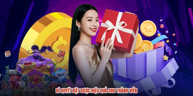 Bí quyết đặt cược hiệu quả cho thành viên