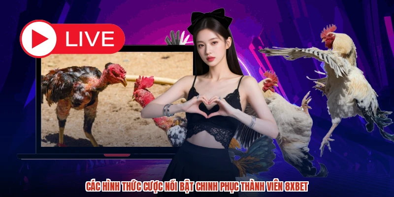 Các hình thức cược nổi bật chinh phục thành viên 8XBET