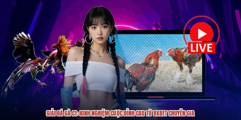 Giải Đá Gà C1: Kinh Nghiệm Cược Đỉnh Cao Từ 8XBET Chuyên Gia