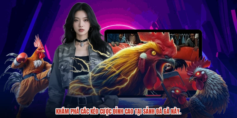 Khám phá các kèo cược đỉnh cao tại sảnh đá gà này.
