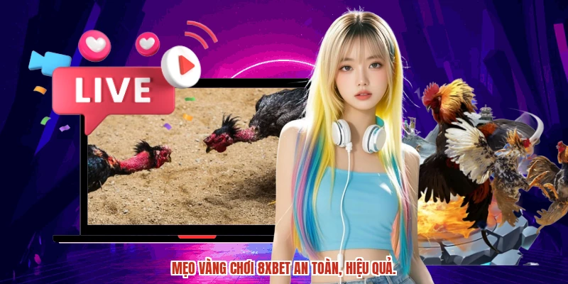 Mẹo vàng chơi 8XBET an toàn, hiệu quả.