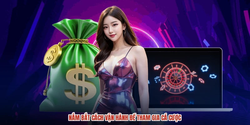 Nắm bắt cách vận hành để tham gia cá cược