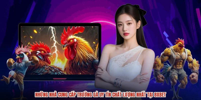 Những nhà cung cấp trường gà uy tín chất lượng nhất tại 8XBET