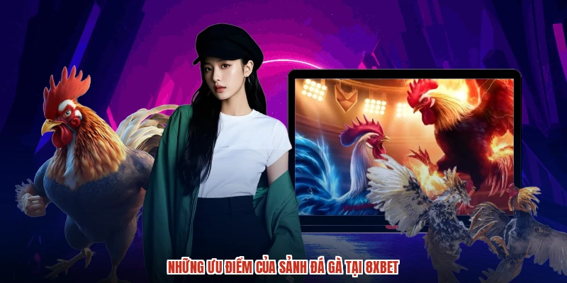 Những ưu điểm của sảnh đá gà tại 8XBET