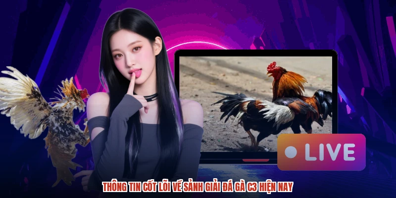 Thông tin cốt lõi về sảnh giải đá gà C3 hiện nay