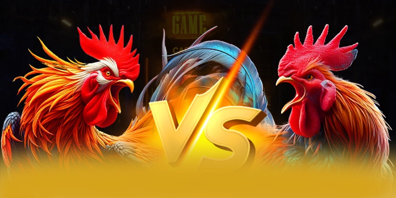 Khuyến mãi hấp dẫn dành cho cộng đồng tại 8xbet Khuyến mãi hấp dẫn dành cho cộng đồng tại 8xbet