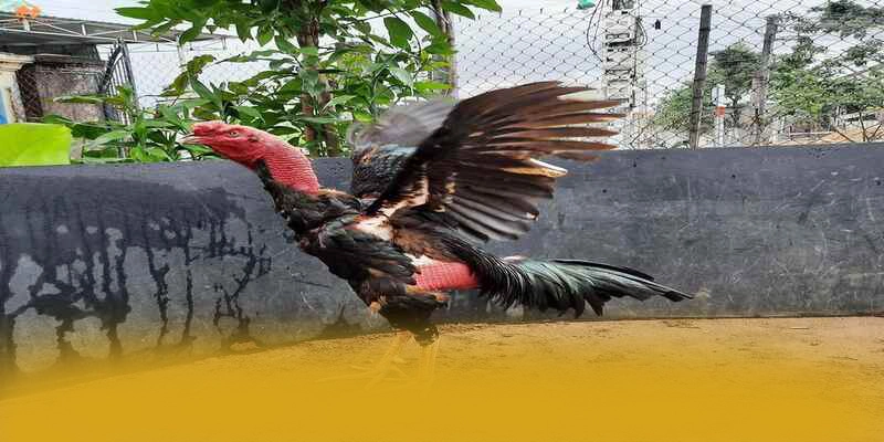 BET168 - Cổng giải trí quy tụ nhiều siêu phẩm hot 2026