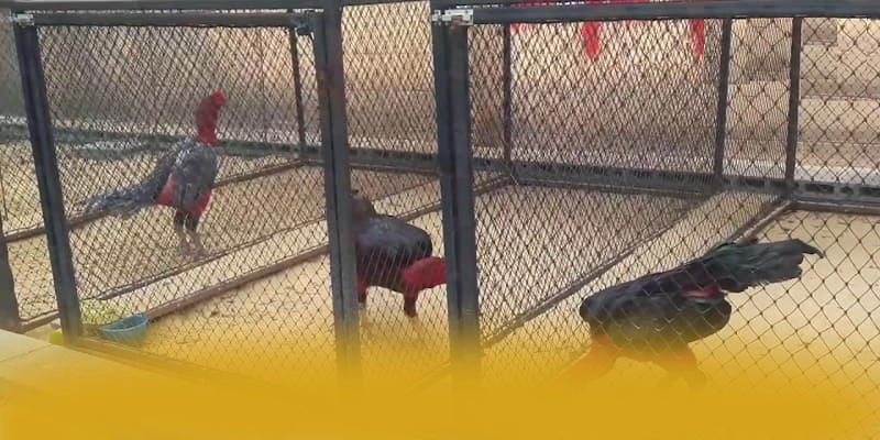 BET88 - Sảnh game quy tụ nhiều siêu phẩm hot tại Việt Nam